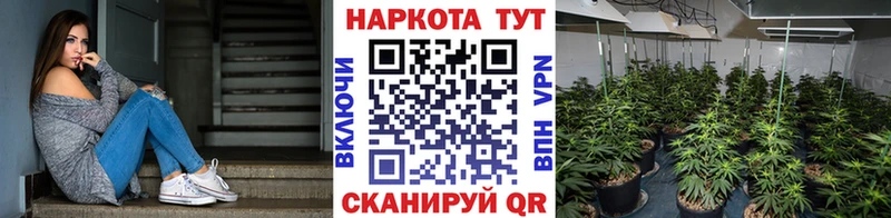 Наркошоп купить Cocaine  Альфа ПВП  ГАШИШ  Мефедрон  Новозыбков