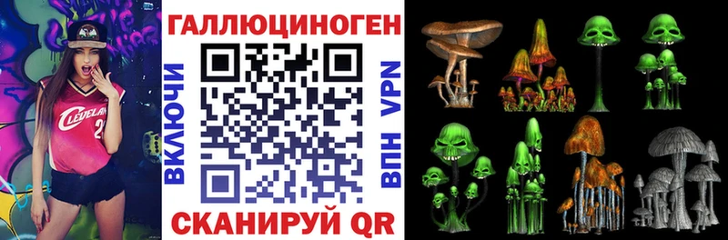 Галлюциногенные грибы Magic Shrooms  Купить где  Новозыбков 